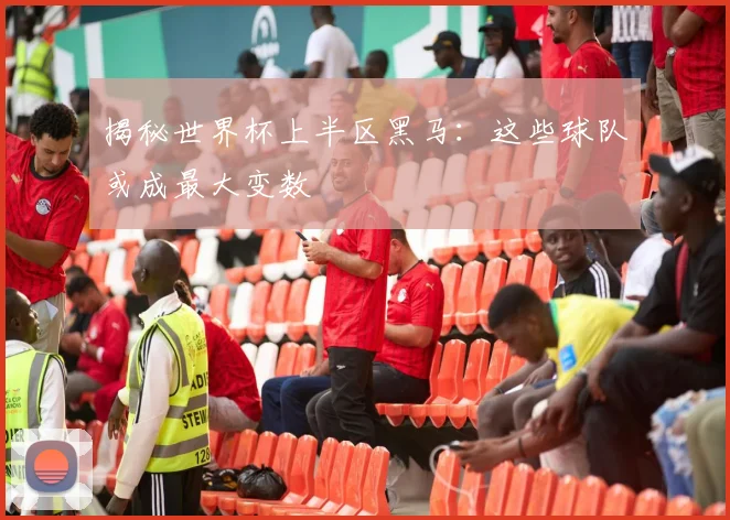 揭秘世界杯上半区黑马：这些球队或成最大变数
